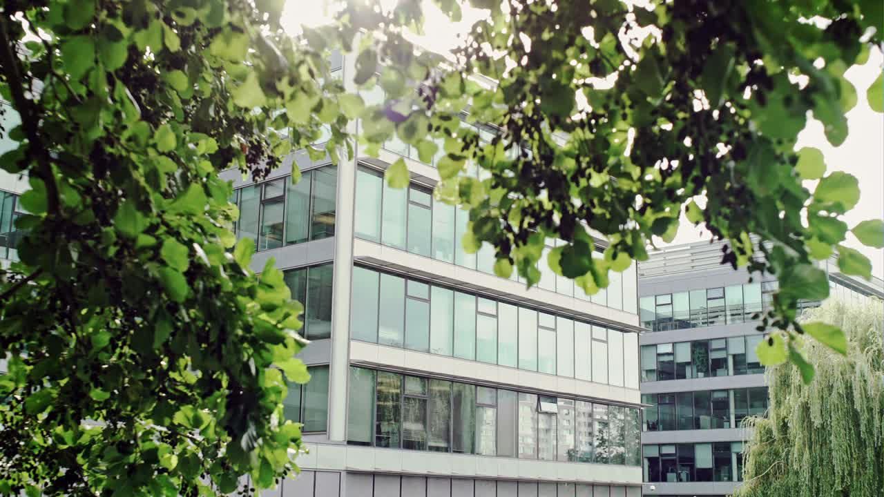 Business office building and green oak, business and nature concept