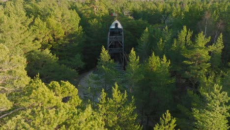 aerial establishing view of modern boat shaped observation watchtower in the middle of pine tree forest, nordic woodland, forest trail, sunny evening, golden hour light, drone shot moving backward