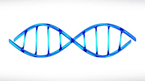isolated 3d double helix dna structure with luma matte and looping