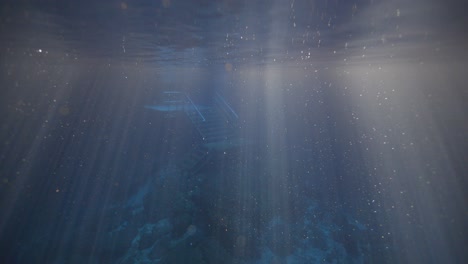 View of sunlight ripples in natural spring water at Devil&#039;s Den Prehistoric Spring