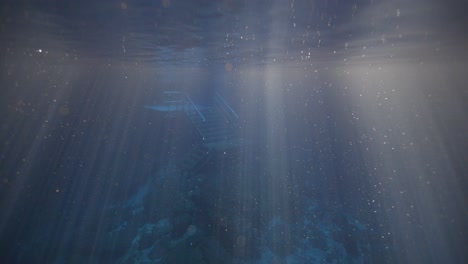 view of sunlight ripples in natural spring water at devil's den prehistoric spring