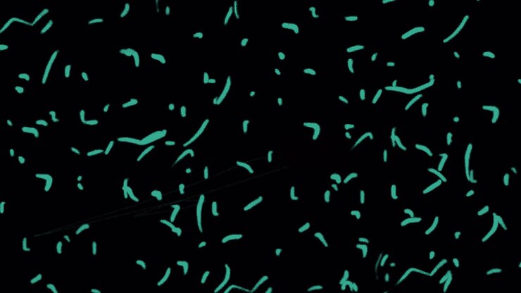 Dynamic Abstract Animation of Teal Particles on Black Background