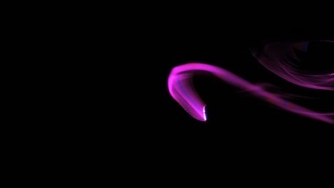 abstract pink and purple flowing lines