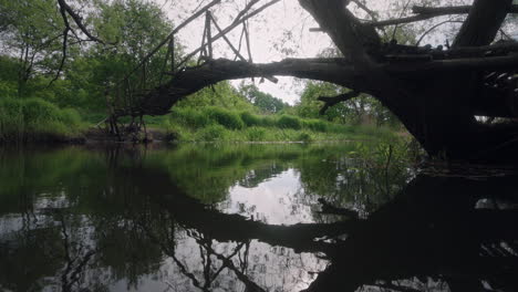 enchanting allure of a small wooden diy bridge suspended over a serene river in a lush green forest during a tranquil sunny morning, picturesque scene of ethereal beauty