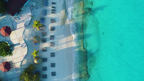 top down static aerial of ocean waves crashing on grote knip curacao, lounge chairs and palm trees on the coast