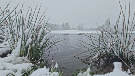 Zoomen-Sie-Auf-Die-Aufnahme-Des-Teilweise-Gefrorenen-Seewassers,-Auf-Das-An-Einem-Kalten-Wintertag-Weißer-Schnee-Fällt