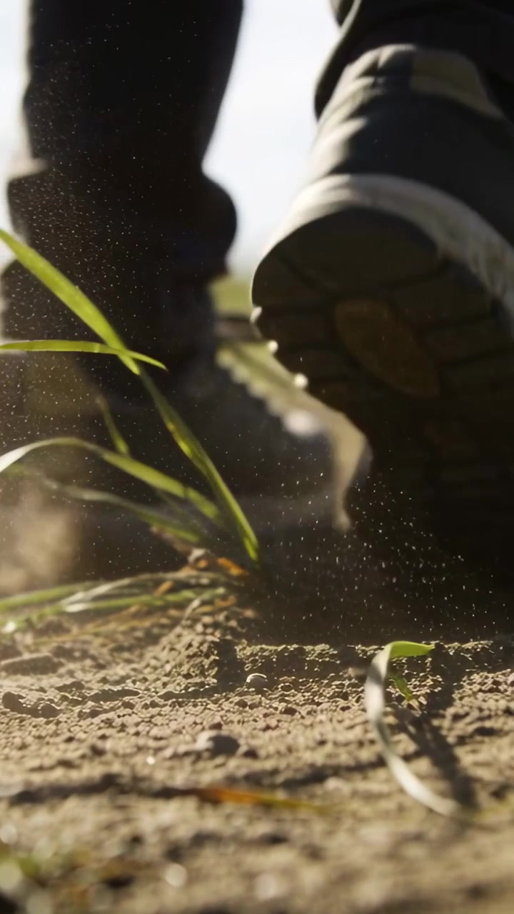 Vertical video: Striking worn sneaker contacting sunlit dirt path, lifting dust and bending grass