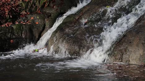 Two-small-waterfalls-in-lowland-stream.-Winter.-UK