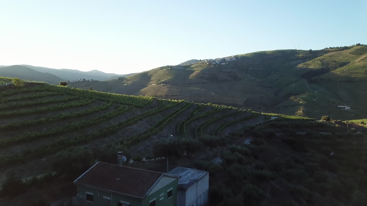 Volando sopra una casa e filari di viti in un vigneto collinare al mattino presto nella Valle del Douro, Portogallo