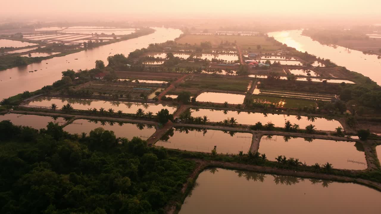 el entorno de vuelo plantas el bosque de vegetación y la orilla del río a la hora de la puesta del sol