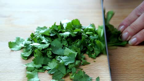 cortar hojas de cilantro frescas con un cuchillo.