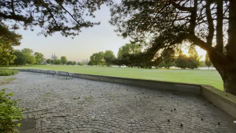 Leerer-Riheniin-Park-Mit-Großer-Wiese-Und-Leeren-Bänken-In-Köln-In-Abendstimmung-Und-Tiefstehender-Sonne