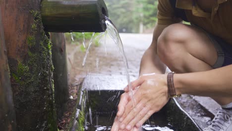 Bebiendo-Agua-Limpia-Y-Clara-De-Un-Pequeño-Manantial-En-El-Bosque.