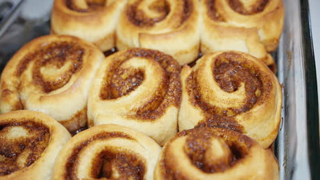 fresh baked cinnamon rolls in a glass pan straight from the oven - isolated close up