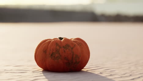 halloween pumpkin on the beach dunes