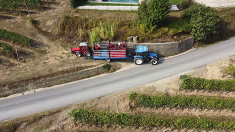 farmer harvesting vineyard with tractor machinery