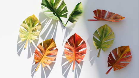 arrangement of colorful tropical leaves