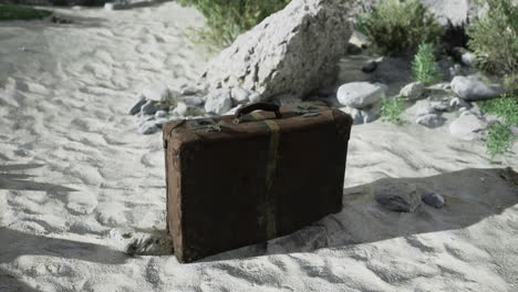 old neglected suitcase resting on sandy ground near stones and plants