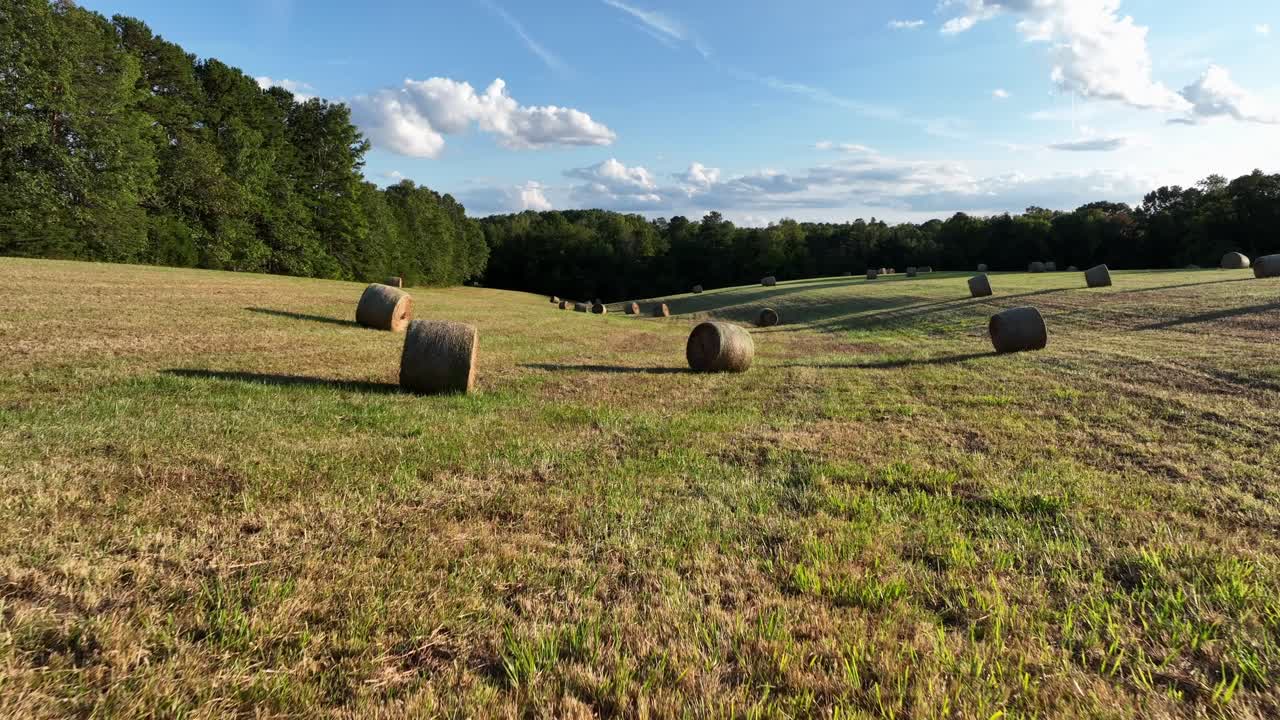 Bale di fieno in un campo soleggiato
