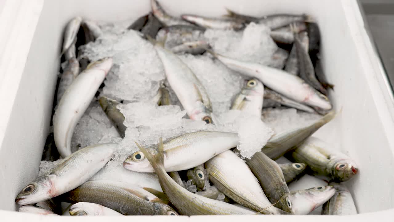 A lively market atmosphere buzzes as vendors present a captivating display of freshly caught fish resting on ice, inviting buyers to explore local flavors and seafood delicacies