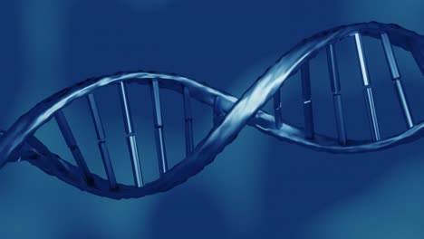 Animation-Des-DNA-Strangs-Auf-Blauem-Hintergrund