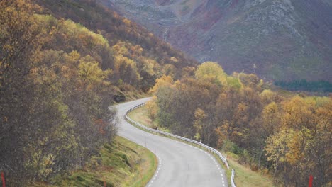 a narrow road goes through the colorful autumn valley