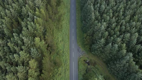 top-down shot of a motorcycle rider passing by on the narrow asphalt road with dense pine trees in the wicklow mountains, ireland - aerial