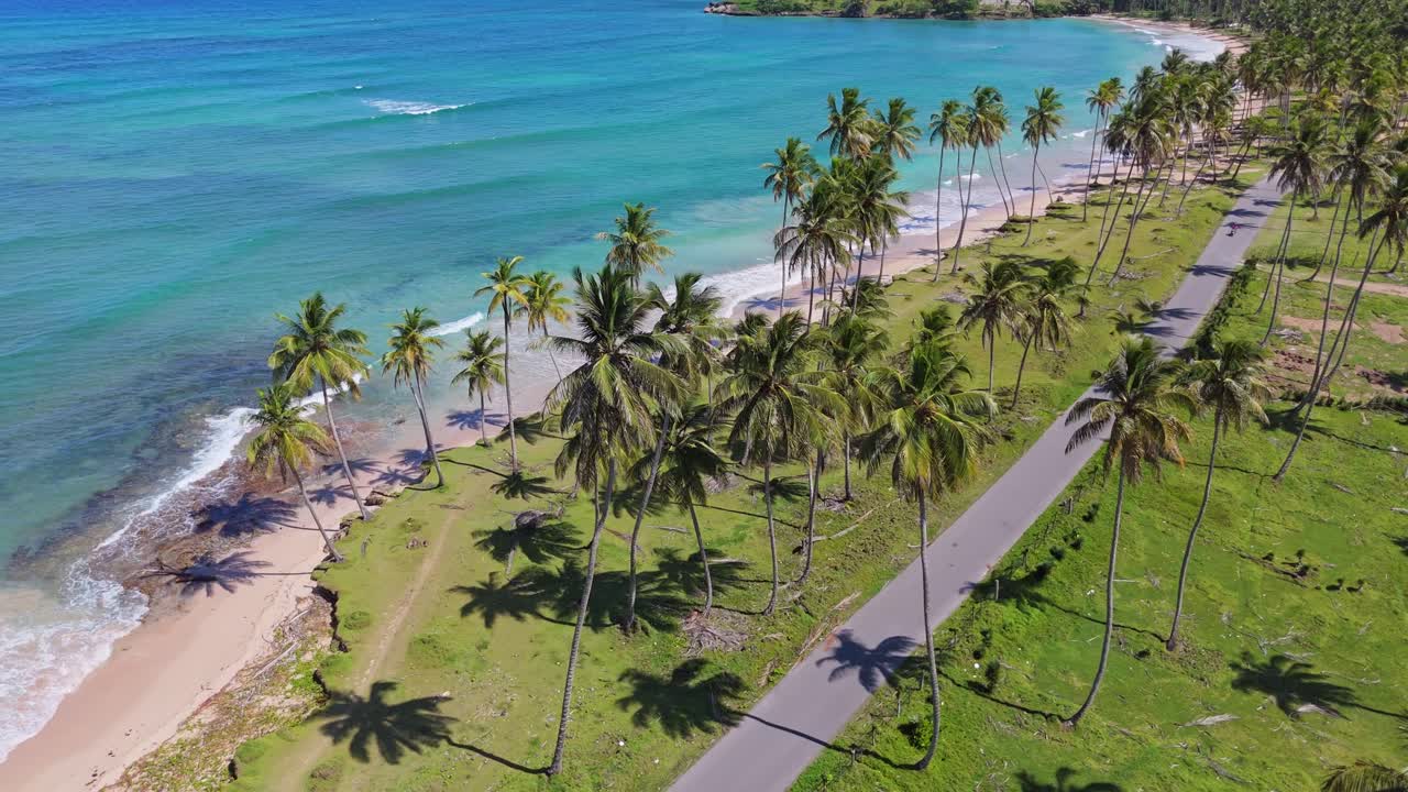 Veduta Aerea di una Spiaggia Tropicale con Palme e Strada