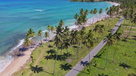 aerial view of tropical beach with palm trees and road