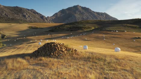 spain yellow field with haystacks and mountains, aerial