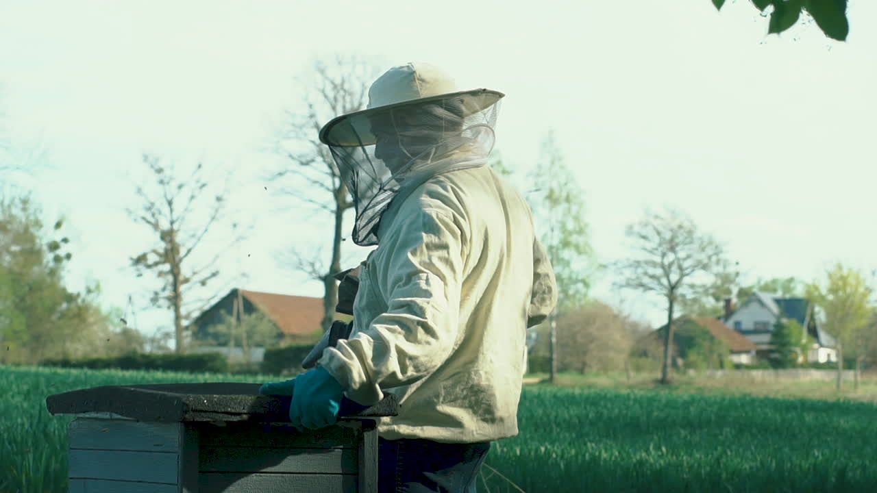 Beekeeper with gear adjusting honey box frames at apiary