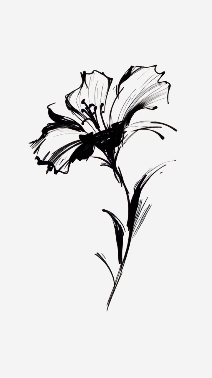 Elegant black floral sketch design animation isolated asset, transparent 4K video, alpha channel