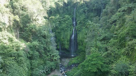 several wispy waterfalls flow into rock grotto, sekumpul falls, bali