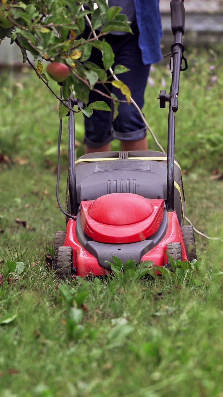 Male is working with red lawn mower on grass. Process of cutting grass with energy saving mechanical lawn mower. Vertical video