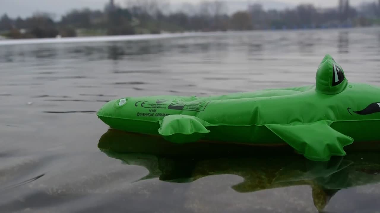 un cocodrilo inflable verde nada en un lago de izquierda a derecha