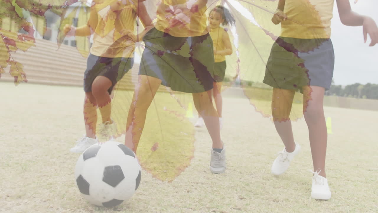 스포츠 경기장에서 축구를 하는 다양한 여학생들의 다리에 잎과 빛의 애니메이션
