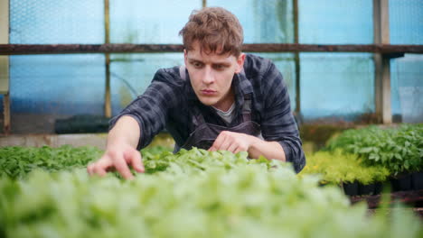 Joven-Agricultor-Examinando-Plantas-En-Invernadero