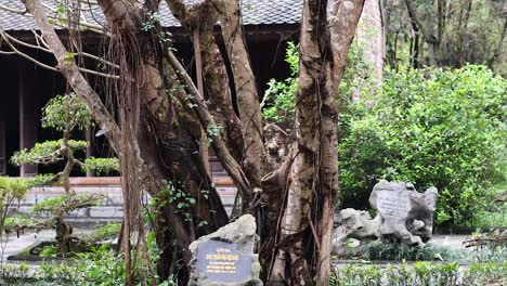 picturesque asian garden and buildings