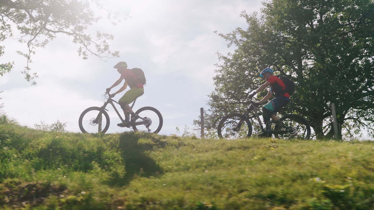 Two mountain bikers on a sunny trail