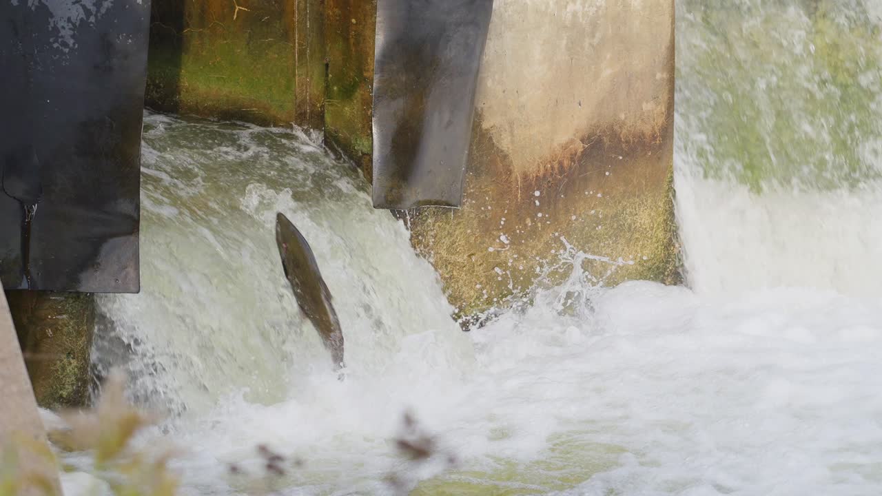 Water flowing over a dam