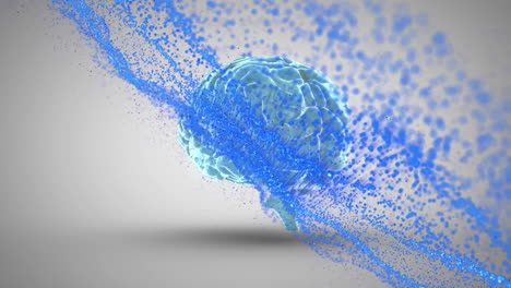 animación de brillo azul sobre el cerebro rotando sobre un fondo gris