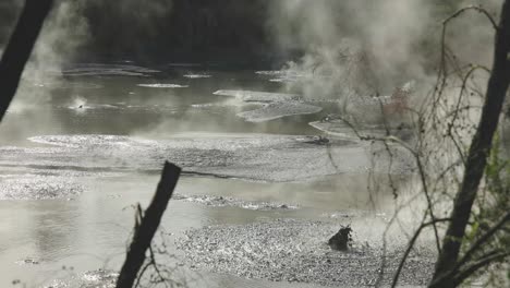 geological activity mud pool bubbling away