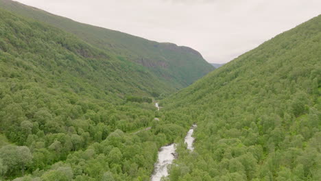 exuberante bosque natural verde en el valle con río de montaña que fluye a través, aéreo