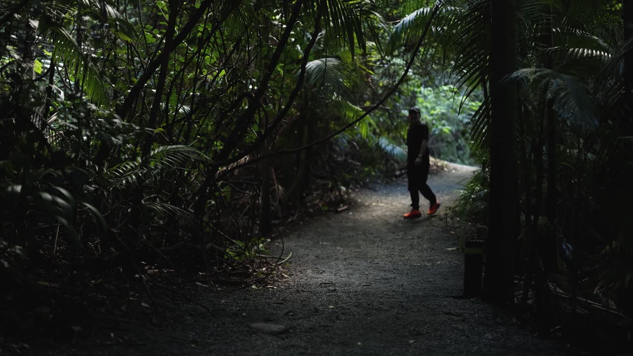숲길 을 따라 고 있는 사람
