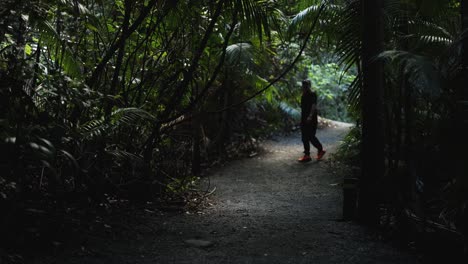 persona caminando por un sendero forestal
