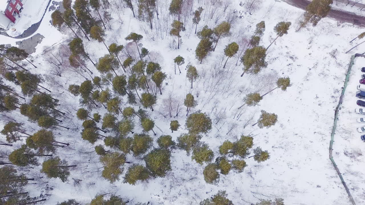 눈 인 숲 의 공중 사진