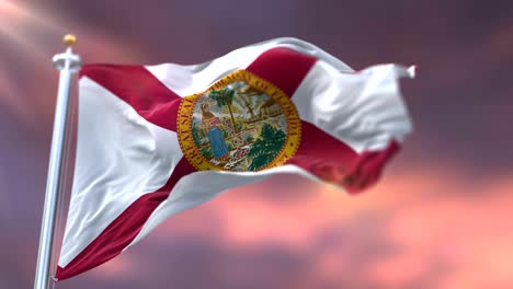bandera del estado de florida al atardecer, región de los estados unidos - bucle
