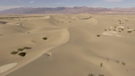 a typical desert landscape with sand dunes and little vegetation