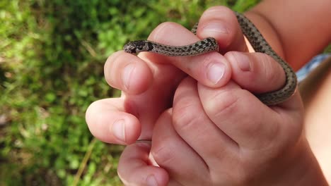 niño sosteniendo una serpiente marrón inofensiva en cámara lenta