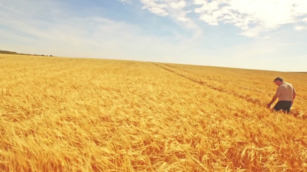 vista aérea de un agricultor caminando por sus campos